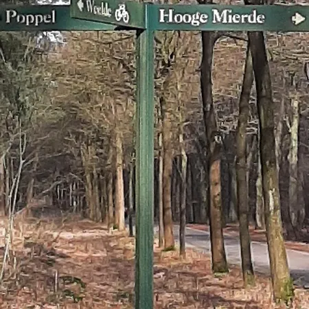 22 * Poppel